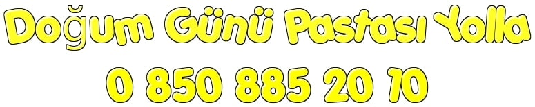 Ankara angora evleri Doum gn ya pasta eitleri doum gn pastas yolla gnder