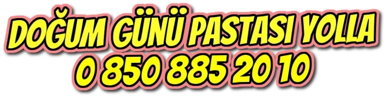 Ankara angora evleri Ya pasta eitleri doum gn pastas yolla gnder