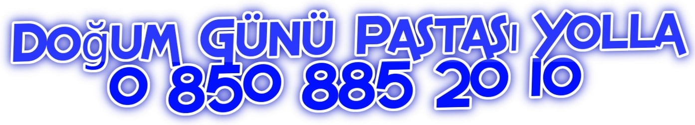 Ankara angora evleri Doum gn pastas ya pasta gnder yolla